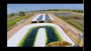 preview picture of video 'Innovative water bioremediation: algae for sustainable aquaculture'