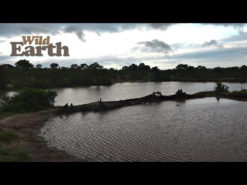 When it rains, it pours!