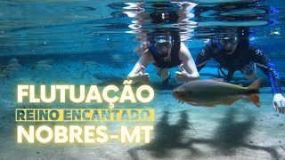 Imperdível: Flutuação Reino Encantado.