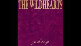 The Wildhearts - Getting it