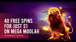 7Bit Casino Review: All You Need To Know About This Great Online Casino