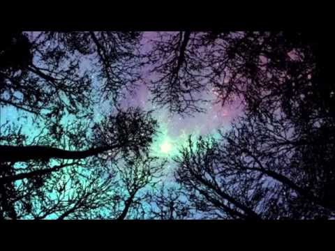 Darknesss & AcidmaniaC - Acid Into Darkness (180)