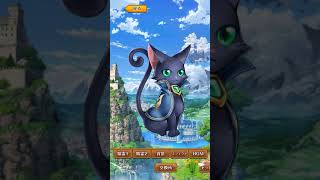 Quiz RPG: The World of Mystic Wiz - Android Gameplay [4+ Hrs, 360p]