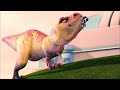 A Pet Tyrannosaurus Goes OUT OF CONTROL And Tries To DEVOUR The Entire FAMILY RECAP