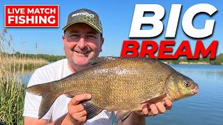 Chasing BIG Bream at Ferry Meadows! 3-Day Match Diary (2026 Ringers Classic)