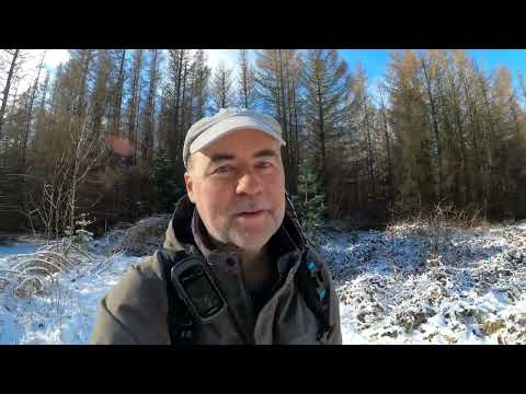 Stempelstelle 5 Froschfelsen - Harzer Wandernadel