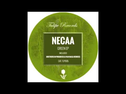 Necaa - Ak 47 (Original Mix)