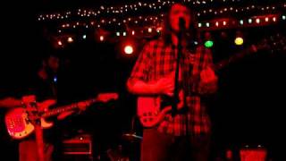 Miniature Tigers - Coyote Enchantment