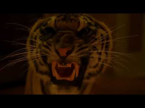 Burning Bright [2010] - Tiger Screen Time