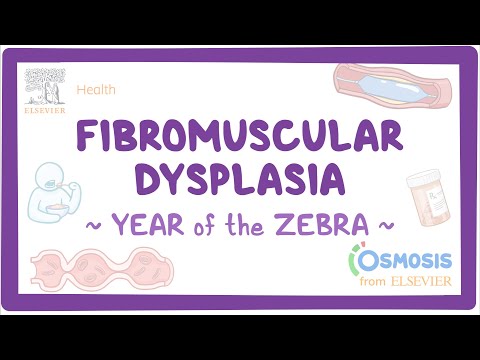 Canavan disease Year of the Zebra