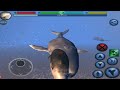 Narwhal VS Dolphin Octopus Marlin Great White Shark Orca Crab Manta Ray Blue Whale