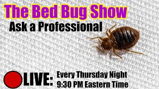The Bug Show - LIVE - Random Reddit r/bedbugs answered
