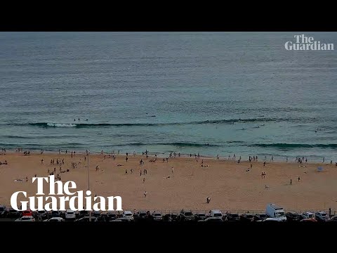 Guardian Australia and Guardian News
