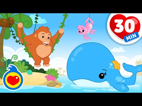 A Baleia 🐳 💦 | 30 minutos de Música Infantil | Um Herói do Coração ❤️