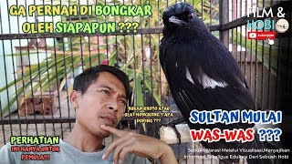 Download lagu CARA MENGATASI BURUNG DECU MACET BUNYI mp3 Download lagu CARA MENGATASI BURUNG DECU MACET BUNYI mp3