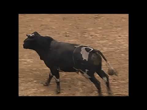 Clint Branger vs Double Trouble - 00 PBR Greensboro (86 pts)