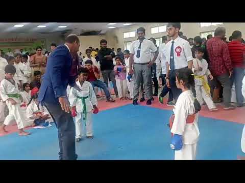 little girl karate fight Best kicks by Kripa dodeja #karatekid#kumite  #karategirl#girlpower#girl