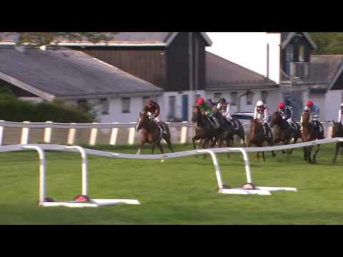 Norway Galop Derby 2019 Privilegiado