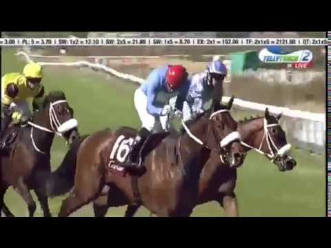 2018 Cartier Paddock Stakes (Grade 1) - Oh Susanna