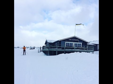 Storhogna - Fallmoran - Jaktstugan - Vemdalsskalet - Storhogna