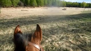 Eventing ALL YEAR LONG in Alaska on the Cross Country Course at W.E.P.