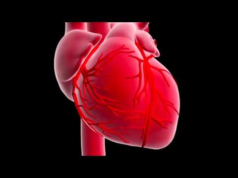 Vitamina potenza per il corso Pillole Afrodisiaci