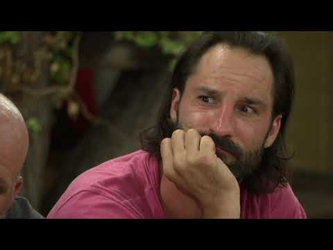 Kmetija: Morje in oljke