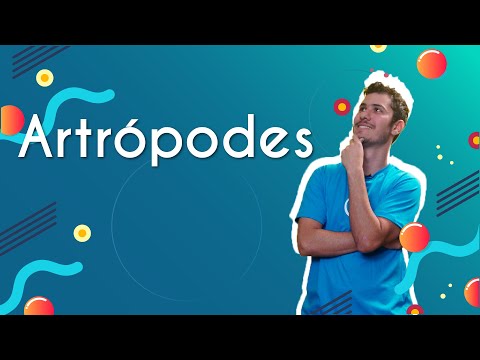 Arthropods - Brazil School