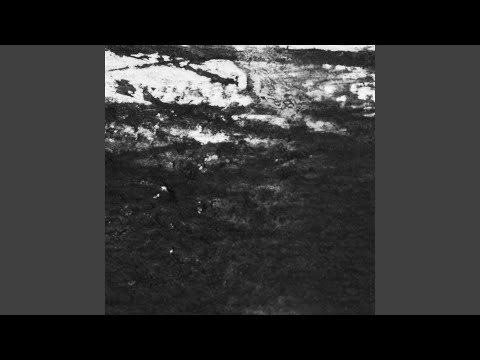Muuttolinnut Rantahiekkaa - Paperi T