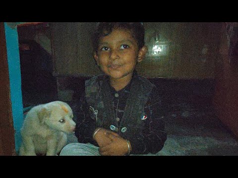 #31102023 #gurveen #latamangeshkar #gareema #puppy