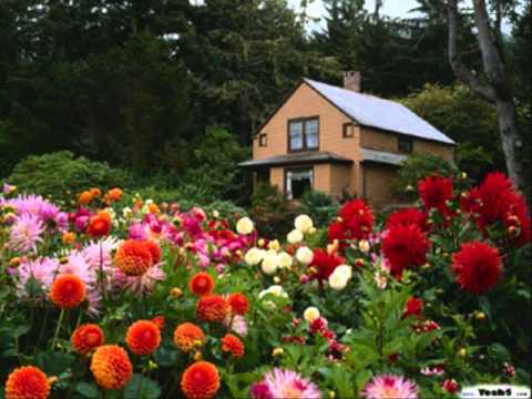 download lagu mp3 mp4 Tu Puedes Pimpinela, download lagu Tu Puedes Pimpinela gratis, unduh video klip Tu Puedes Pimpinela