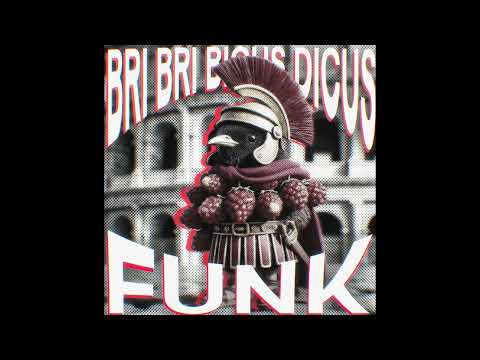 Bri Bri Bicus Dicus FUNK