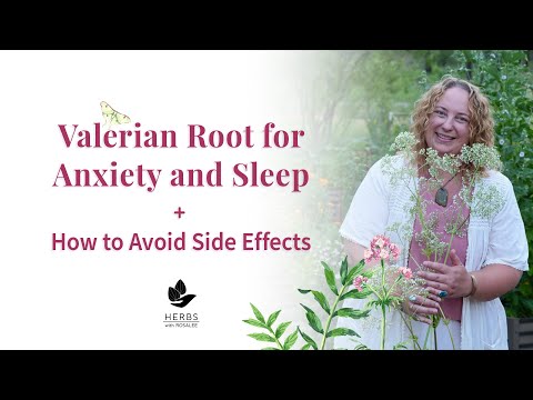 Valerian Root for Anxiety and Sleep + Avoid Valerian Root Side Effects