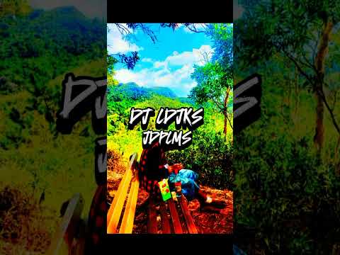 DJ LDJKS Herman Fleret ft Aya remix zouk HK24 💯🇳🇨🔥