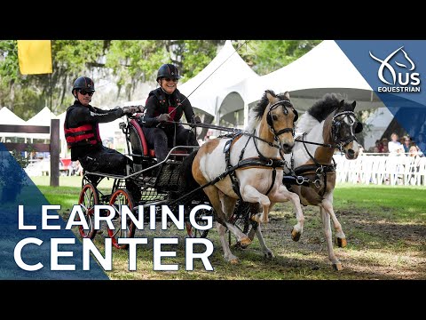 Learning Center Combined Driving with Misdee Wrigley Miller