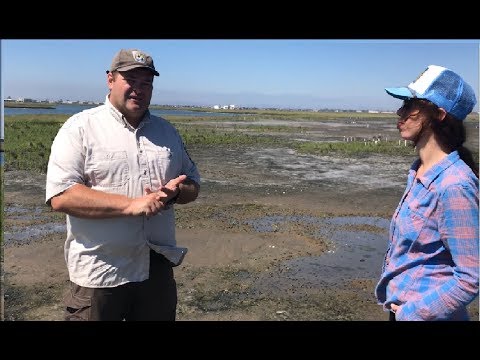 On the Road for Climate Action - Sea Level Rise in Seal Beach, CA