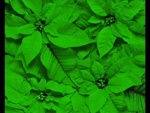 Wahid Qasemi-Ay Dil Marau Sohy-e Khatar