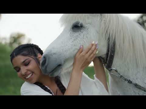 1 HOUR of AMAZING HORSES 🏇 From Around the World - Best Relax Music, Meditation, Stress Relief, Calm