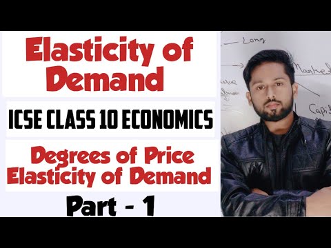 Elasticity of Demand Class 10 Icse | Price Elasticity of Demand| ICSE Economics Class 10 |