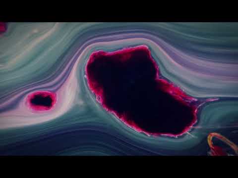 Mad Zach x Bayawaka - Back from the Tunnel - (visuals by Magnificent Matter)