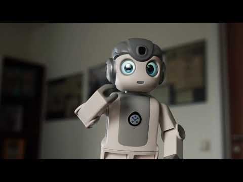 ROBOT ÉDUCATIF COMPAGNON ROBIN ZORABOTS, DIVERTISSEMENT AU BUREAU, POUR L'ACCUEIL ET LA RECHERCHE & DÉVELOPPEMENT + SOLUTION LOGICIELLE PARTENAIRE CLÉ EN MAIN - ALPHA MINI UBTECH_6