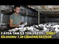2 ayda tam 5,5 ton üretti... Şimdi kilosunu 7,20 liradan satıyor 2 ayda tam 5,5 ton üretti... Şimdi kilosunu 7,20 liradan satıyor