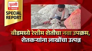 New silk farming initiative in Beed, farmers earn millions