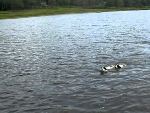 Lanny and Reagan water retrieve