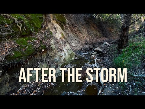 Rice Canyon Hike: Stunning Creek & Scenic Trail After The Storm