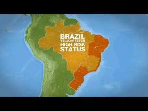 Fears of Yellow Fever in Brazil - 13 Jan 08