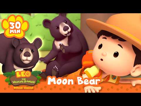 Adventures of the Baby Moon Bear Surviving in the Wild! | Leo the Wildlife Ranger | Animal Cartoons - Kids TV Series, Kingdom Kids Zone - Leo the Wildlife Ranger - Official Channel