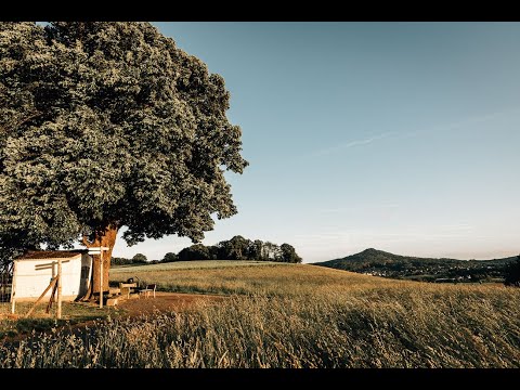 Część 18: Stara dusza