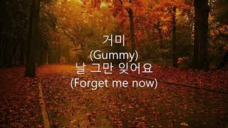 Download lagu 거미 (Gummy) - 날 그만 잊어요 (Forget Me Now) Lyrics 가사 mp3