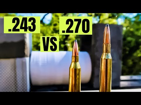 243 vs 270 - How Many Paper Plates???